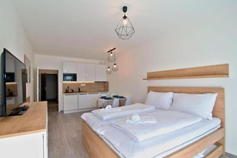 Bed, TV and multimedia, Kitchen or kitchenette, Photo of the whole room, Bedroom, minibar, towels