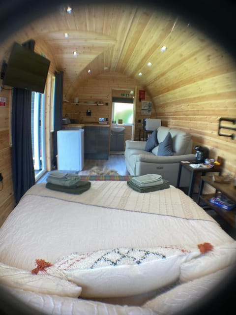 Waterloo Sunset Apartment in Scotland