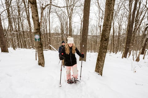 Private Hideaway with Hot Tub - Stylish & Serene Chalet in Cattaraugus