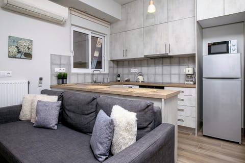 Kitchen or kitchenette, Living room, dishwasher, minibar, pet friendly, stove