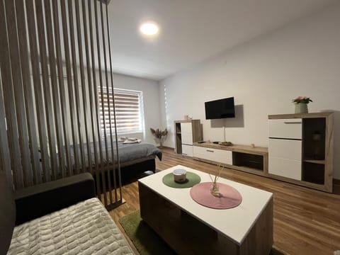 Vlasic Apartmani HANA Apartment in Vojvodina