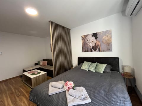 Vlasic Apartmani HANA Apartment in Vojvodina