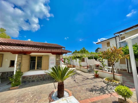 Property building, Garden, View (from property/room), Garden view