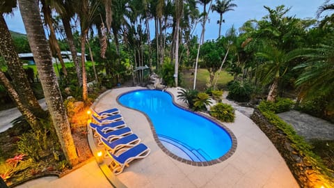 Natural landscape, Garden, Garden view, Pool view, Swimming pool, sunbed