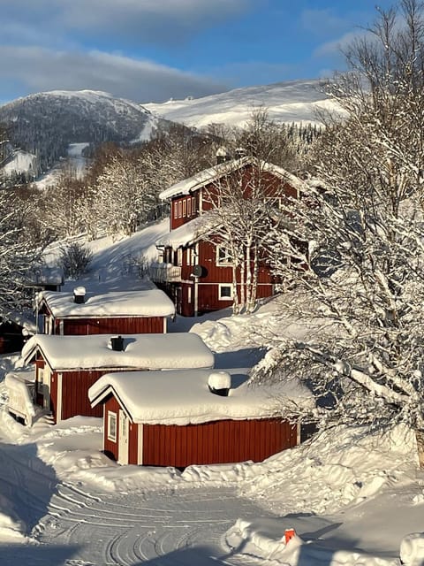 Property building, Winter