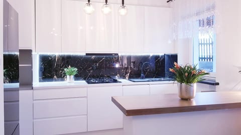 Kitchen or kitchenette, dishwasher, stove