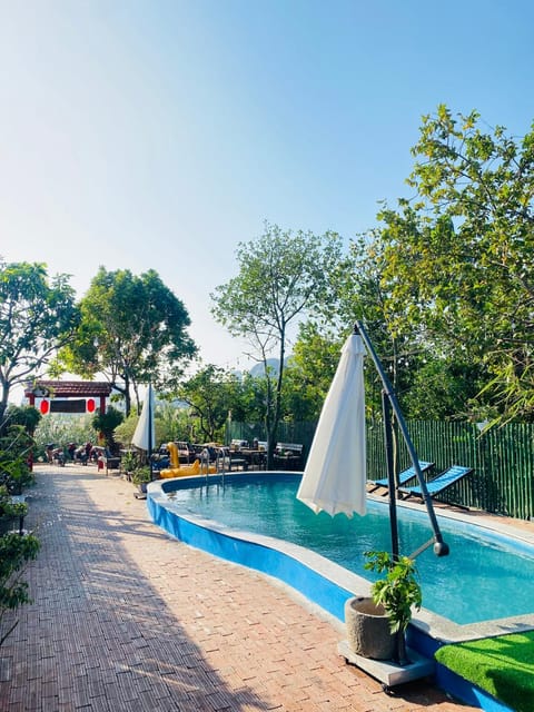 Day, Garden view, Swimming pool