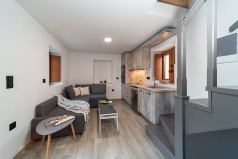 Kitchen or kitchenette, Living room, Seating area, minibar, pet friendly