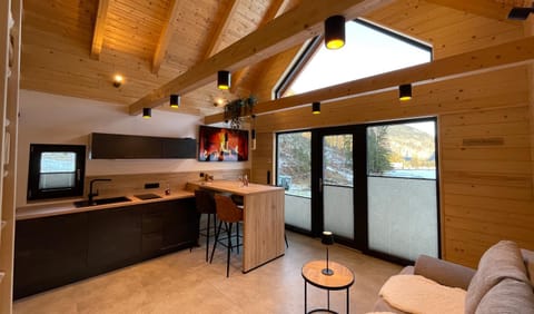 Kitchen or kitchenette, Living room, stove