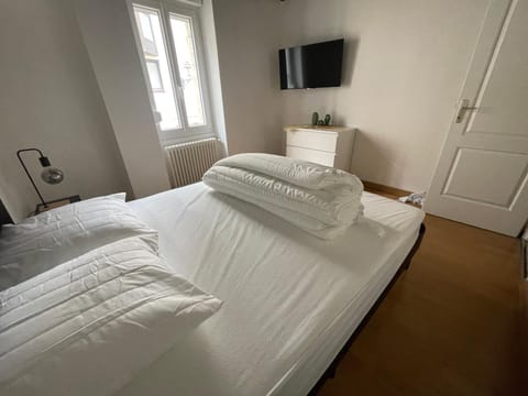 Résidence Le Zola composé de 3 appartements distincts en Hyper Centre de Dijon avec WIFI Apartment in Dijon