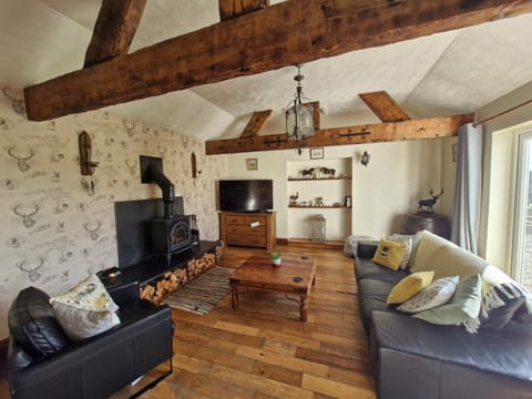 Romantic rural cottage, log burner, Smart TV early check in ,large gardens House in Wales