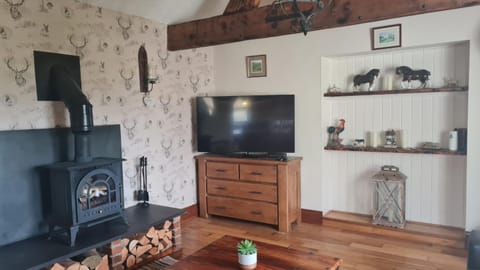 Romantic rural cottage, log burner, Smart TV early check in ,large gardens House in Wales