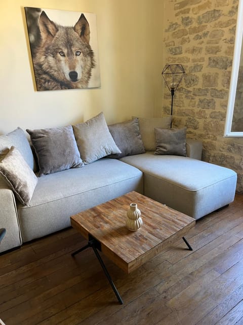 Ça se passe ici Apartment in Dijon