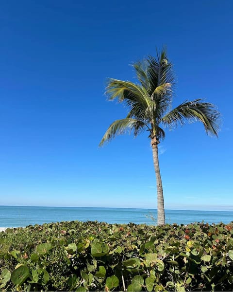 Captiva Bayside Villas 1 Bedroom 2 Bath - sleep 4 Apartment in Sanibel Island
