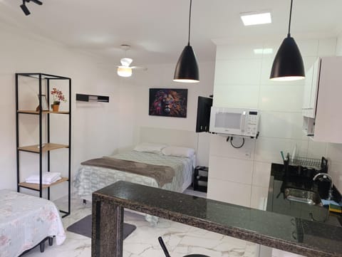 Casa Nova Centro de Penedo-Quitinete House in Resende