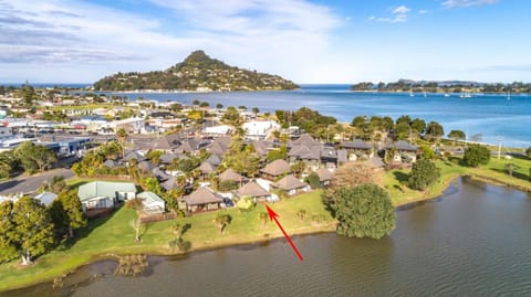 Neighbourhood, Bird's eye view