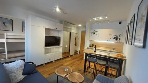 TV and multimedia, Kitchen or kitchenette, Living room, Seating area, Dining area, Bedroom, bunk bed, minibar, stove