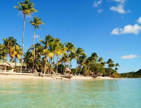 Day, Natural landscape, Beach, Sea view