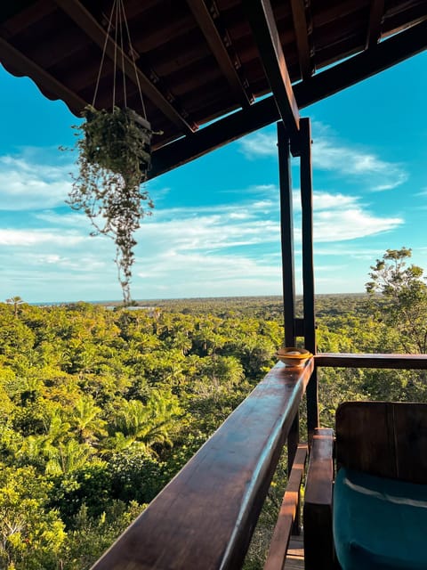 View (from property/room), Garden view