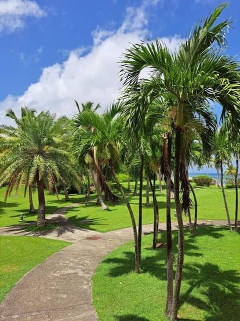 Natural landscape, Garden