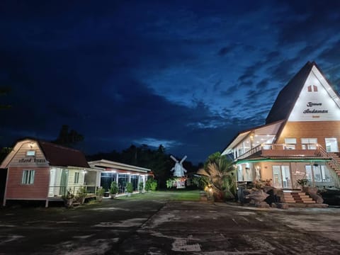 Night, Garden view