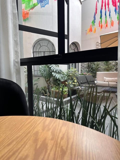 Garden view