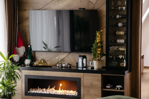 TV and multimedia, fireplace