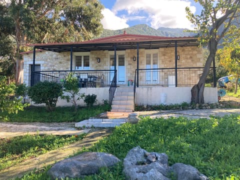 Property view