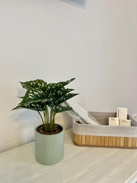 Aleria Central Apartment 2 Apartment in Naxos