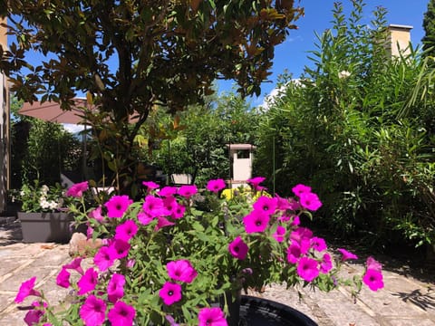 Day, Garden, Garden view