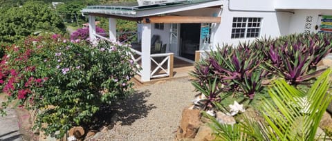 Property building, Garden view