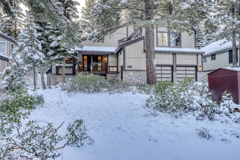 Gold Bear House in Northstar Drive