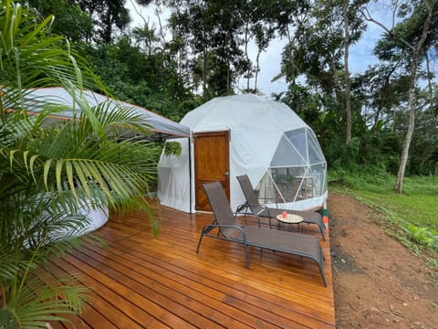 Property building, Garden view