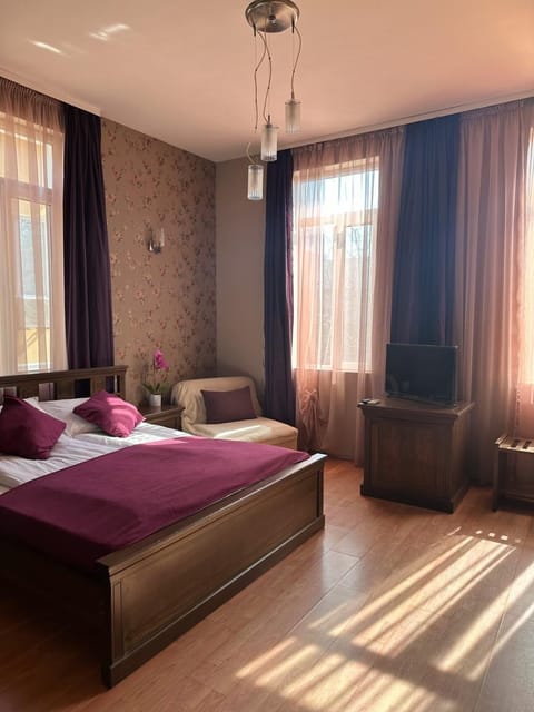 Vidin Hotel Hotel in Dolj County, Romania