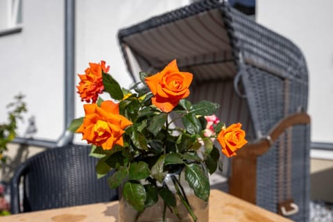 Appartements Villa Glückspilz OFC 27 Villa in Kühlungsborn