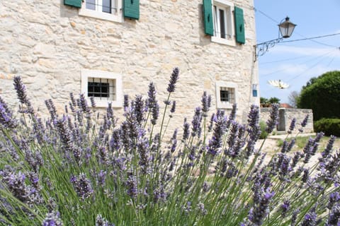 Property building, Garden, Garden view