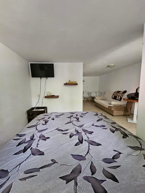 Apartmani Radman 2 - Igalo Apartment in Dubrovnik-Neretva County