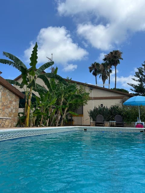 Day, Garden, Swimming pool, sunbed