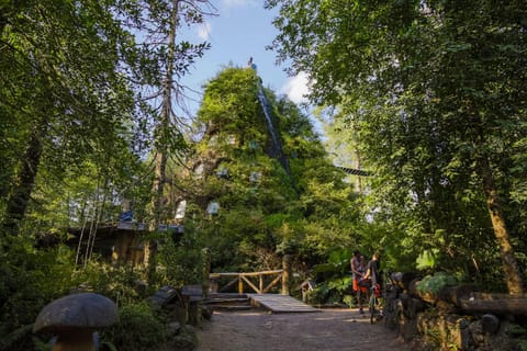 Nearby landmark, Natural landscape, Garden