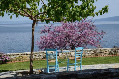 Day, Garden, Sea view