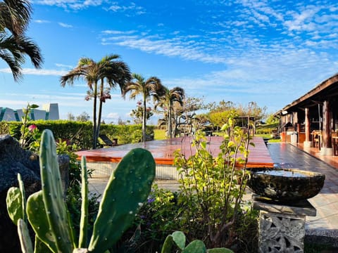 Garden view