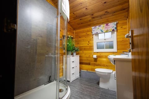 Rural Log Cabin in Snowdonia near Coed y Brenin by Seren Short Stays Cabin in Wales