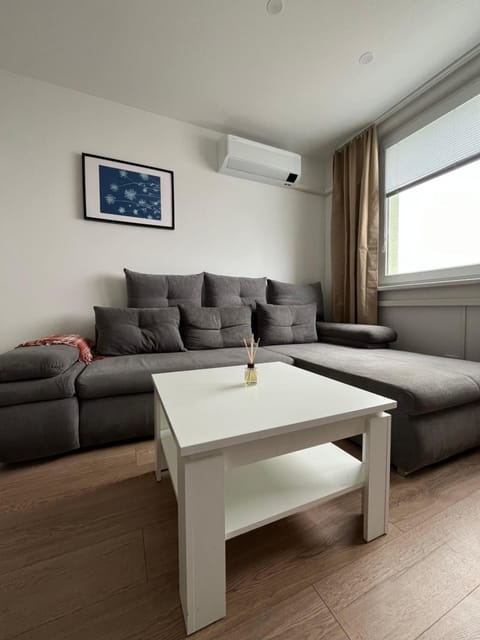 Living room, Seating area, air conditioner