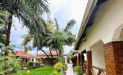 Property building, Garden view