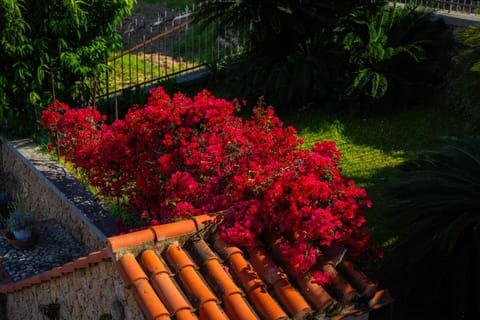 Villa Mafalda Bed and Breakfast in Pietra Ligure