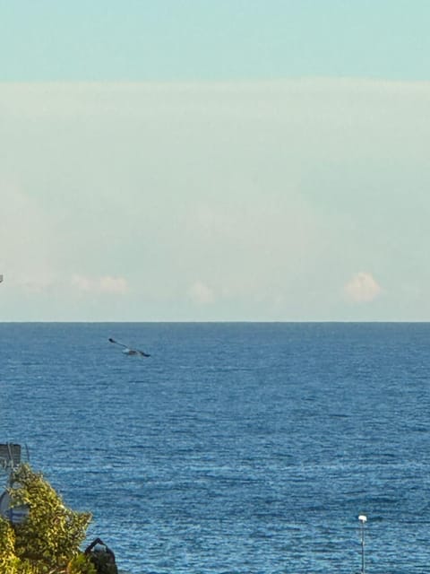 Day, Sea view
