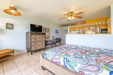 Oceanview Moloka'i Studio Apartment in Molokai