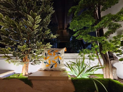 Night, Garden, Garden view