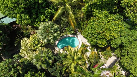 Day, Natural landscape, Bird's eye view, Garden view, Pool view