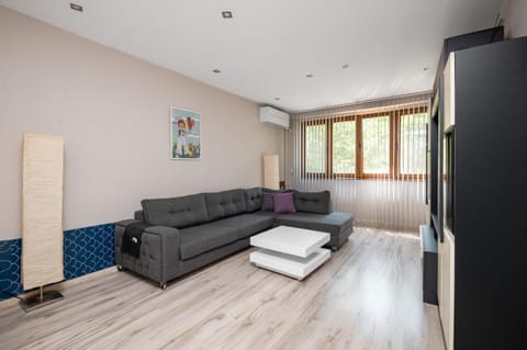 TV and multimedia, Living room, Seating area, air conditioner